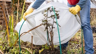 Our plants have been dormant all winter, but when is it time to wake them up from hibernation?