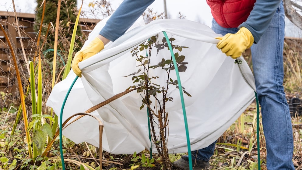 Our plants have been dormant all winter, but when is it time to wake them up from hibernation?