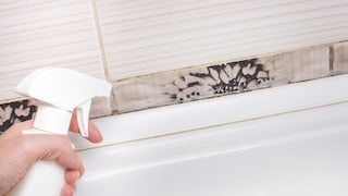 Mold in the bathroom