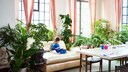 In some apartments, it almost looks like a botanical garden, yet not all plants are suitable for indoor living.