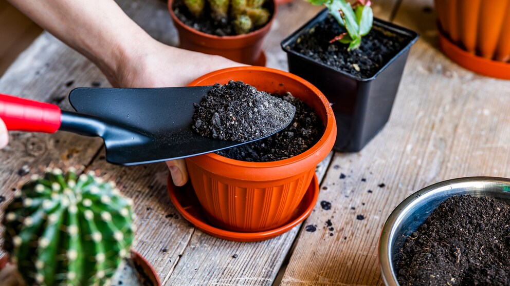 Special soil