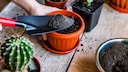 Special soil