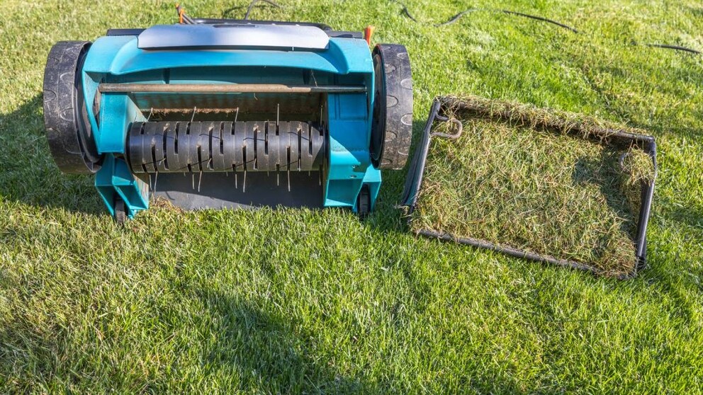 Scarifier