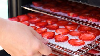 Food Dehydrator