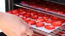 Food Dehydrator