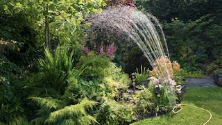 To save water in the garden, you should avoid using a sprinkler.
