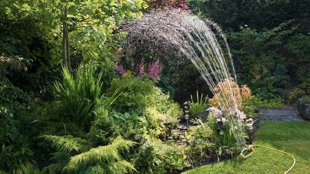 To save water in the garden, you should avoid using a sprinkler.