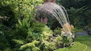 To save water in the garden, you should avoid using a sprinkler.