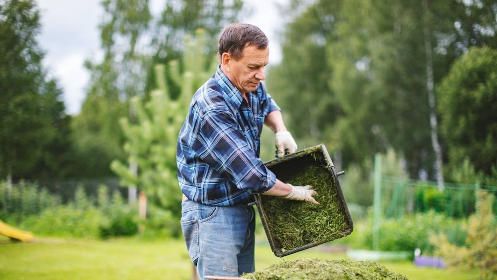 Grass clippings