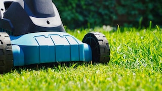 Mowing the Lawn in Summer