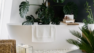 Urban Jungle Challenges