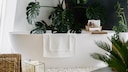 Urban Jungle Challenges