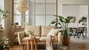 decorative plants