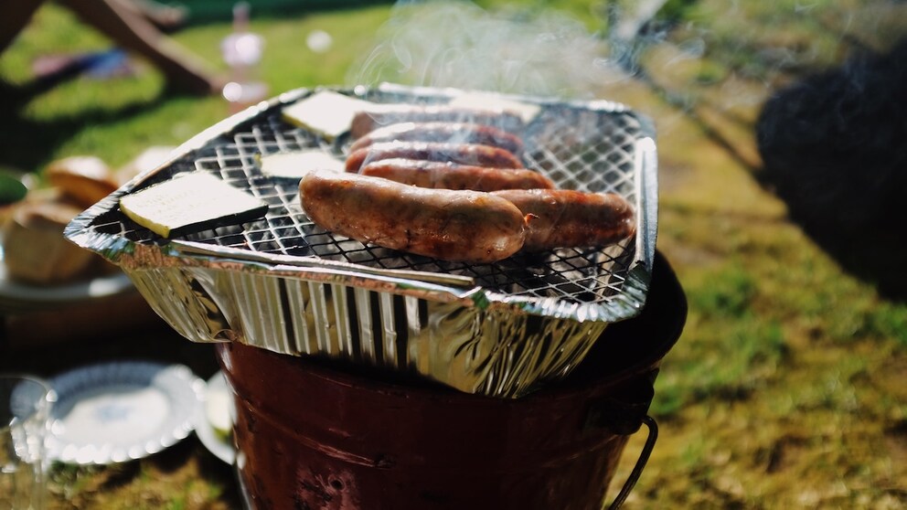Disposable Grill