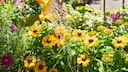 Thinking ahead can save a lot of work in the garden.