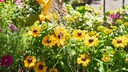 Thinking ahead can save a lot of work in the garden.