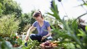 Gardening Without Plastic