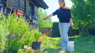 Compost tea is easy to make and extremely beneficial in the garden.
