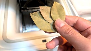 Laurel Leaves Washing Machine