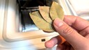 Laurel Leaves Washing Machine