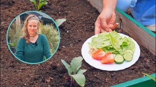 Using a sacrificial plate, you can get rid of snails without killing them.
