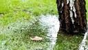 Standing water is a clear sign of waterlogging in the lawn.
