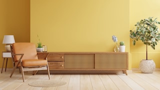 Trend Colors for Summer 2025