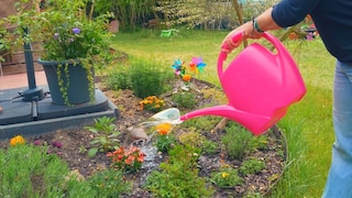 Without a spout, the water pressure from the watering can can be too high and wash away the soil. myHOMEBOOK shows you how to make a spout for a watering can.