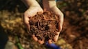 The finger test can be used to determine the soil type.