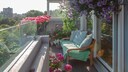 With proper care, you can extend the blooming period of various balcony plants.