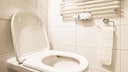 Toilet paper and excrement—nothing else should be flushed down the toilet.