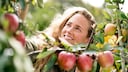 Apple Harvest