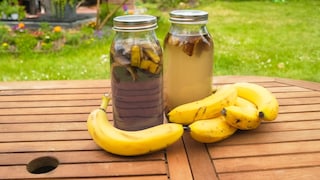 Don't throw banana peels in the trash right away—you can make fertilizer from them.