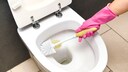 Dish Soap on the Toilet Brush