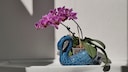 A bright location is essential for orchids to grow and thrive.