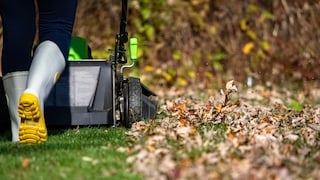 Mowing the Lawn in Fall