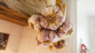 Garlic can be hung in a dry, dark place, allowing it to last for several months.