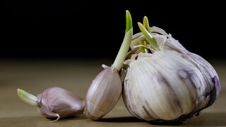 Sprouting Garlic Doesn't Need to Be Thrown Away