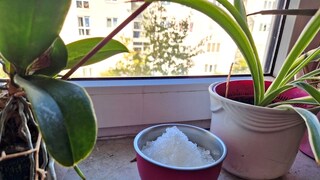 A pinch of salt on the windowsill