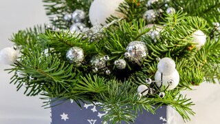 Make Your Own Free Christmas Decorations