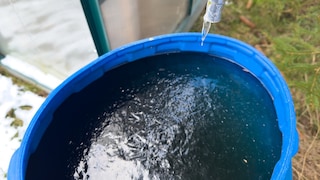 Rain Barrel in Winter