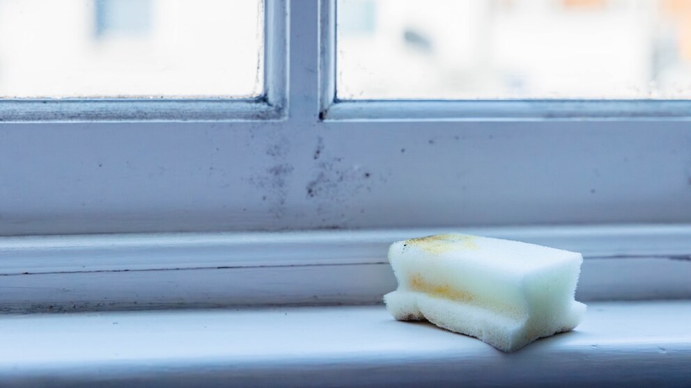 All interior work, such as interior insulation, interior sealing, mold remediation, or the installation of new windows, can be easily carried out during a winter renovation.