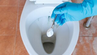 Cleaning Salt Toilets