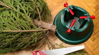 Keep Your Christmas Tree Fresh Longer: Tips and Tricks