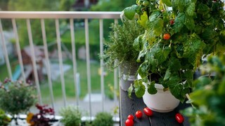 Balcony Trends 2026