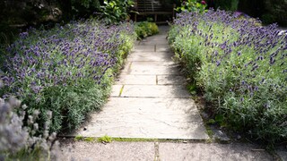 Garden Trends 2026