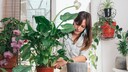 Repotting houseplants in winter is not recommended. However, sometimes it's necessary to save your plant.