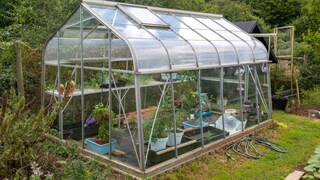 With a greenhouse, gardeners can extend the gardening season.
