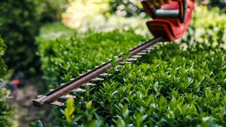 Hedge Trimmer Recall