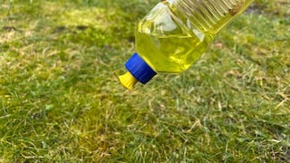 Dish soap is said to help with moss in the lawn.